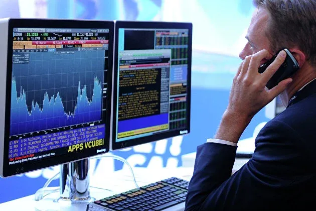 Investor: What is the Nature of the Activity, How to Invest Capital to Make a Profit?